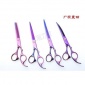宠物剪刀厂家宠物美容修剪毛发剪刀外贸不锈钢宠物剪刀可定制