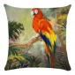 绿叶中的金刚鹦鹉图案超柔抱枕套跨境平台货源厂家S050
